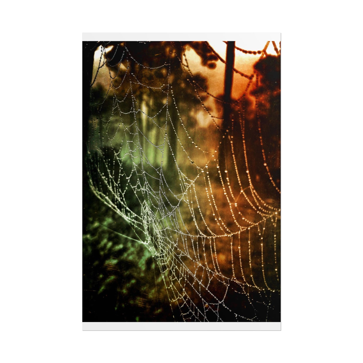 Tears of Dawn (V.2) Rolled Poster