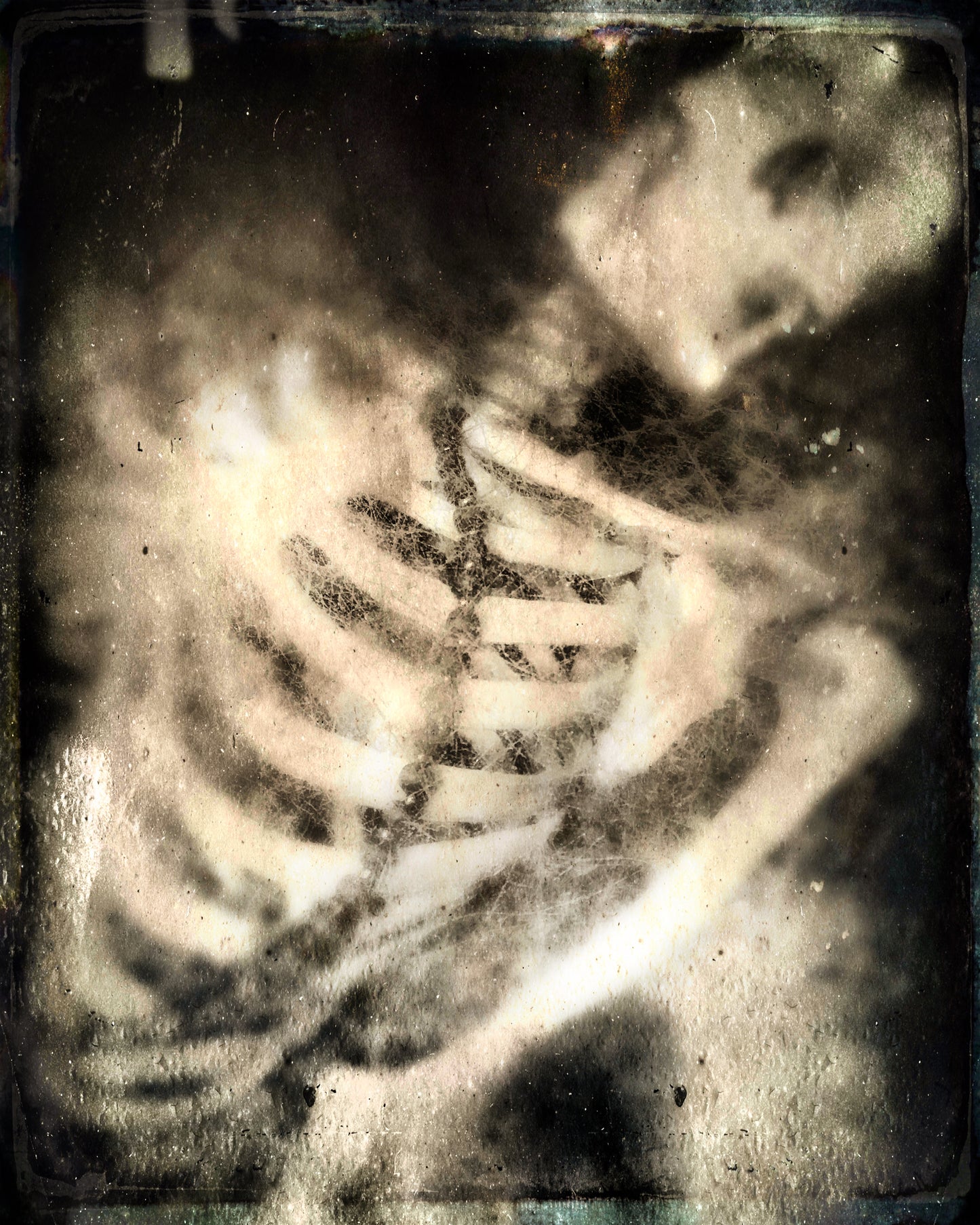 A Bone To Pick