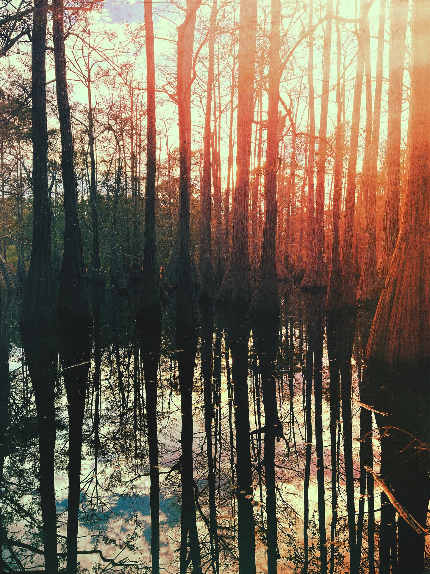 Awakened