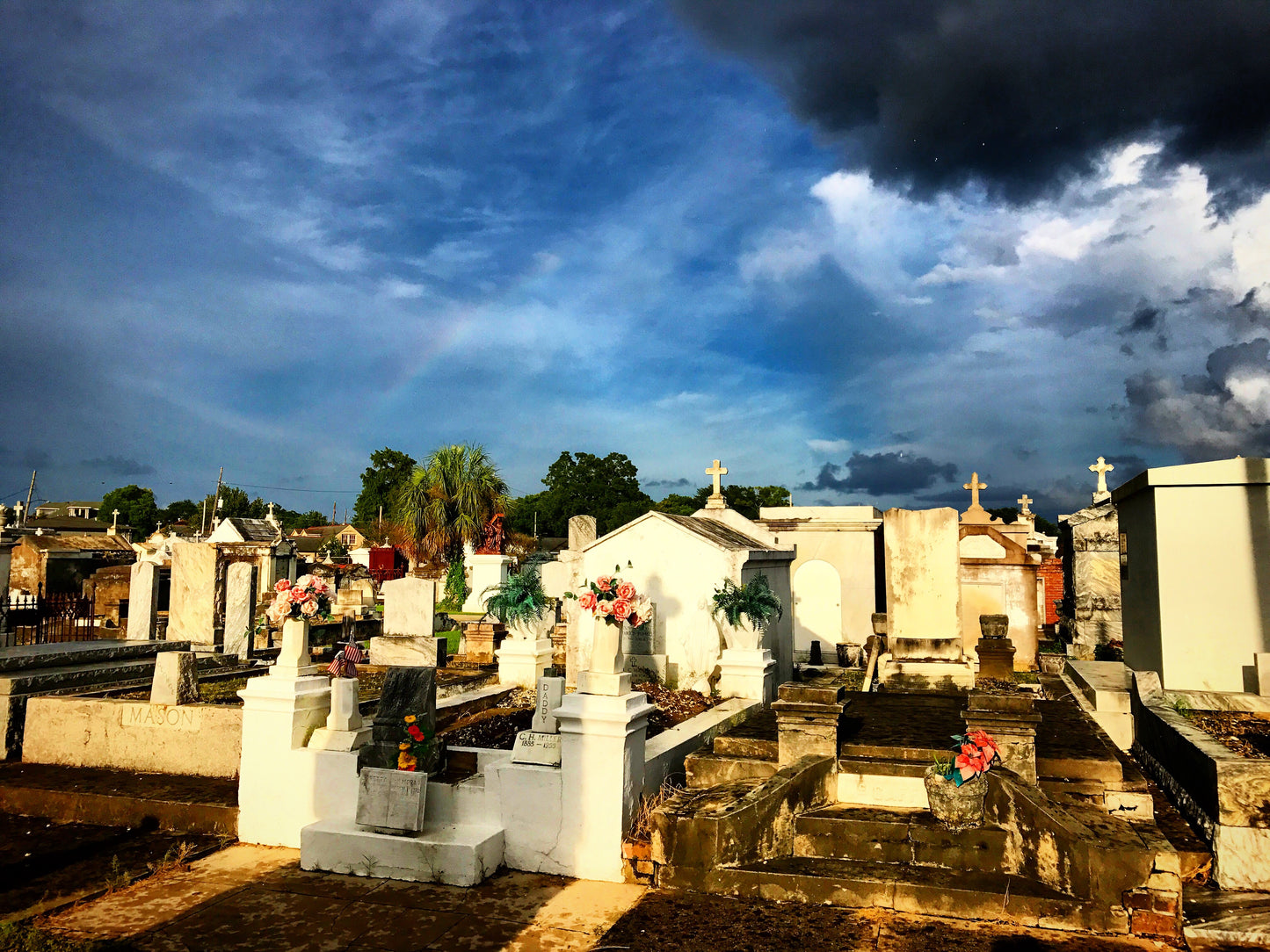 Serpent and Rainbow