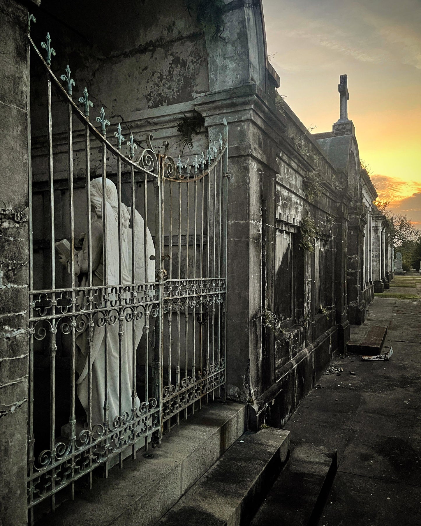 Angel Dusk