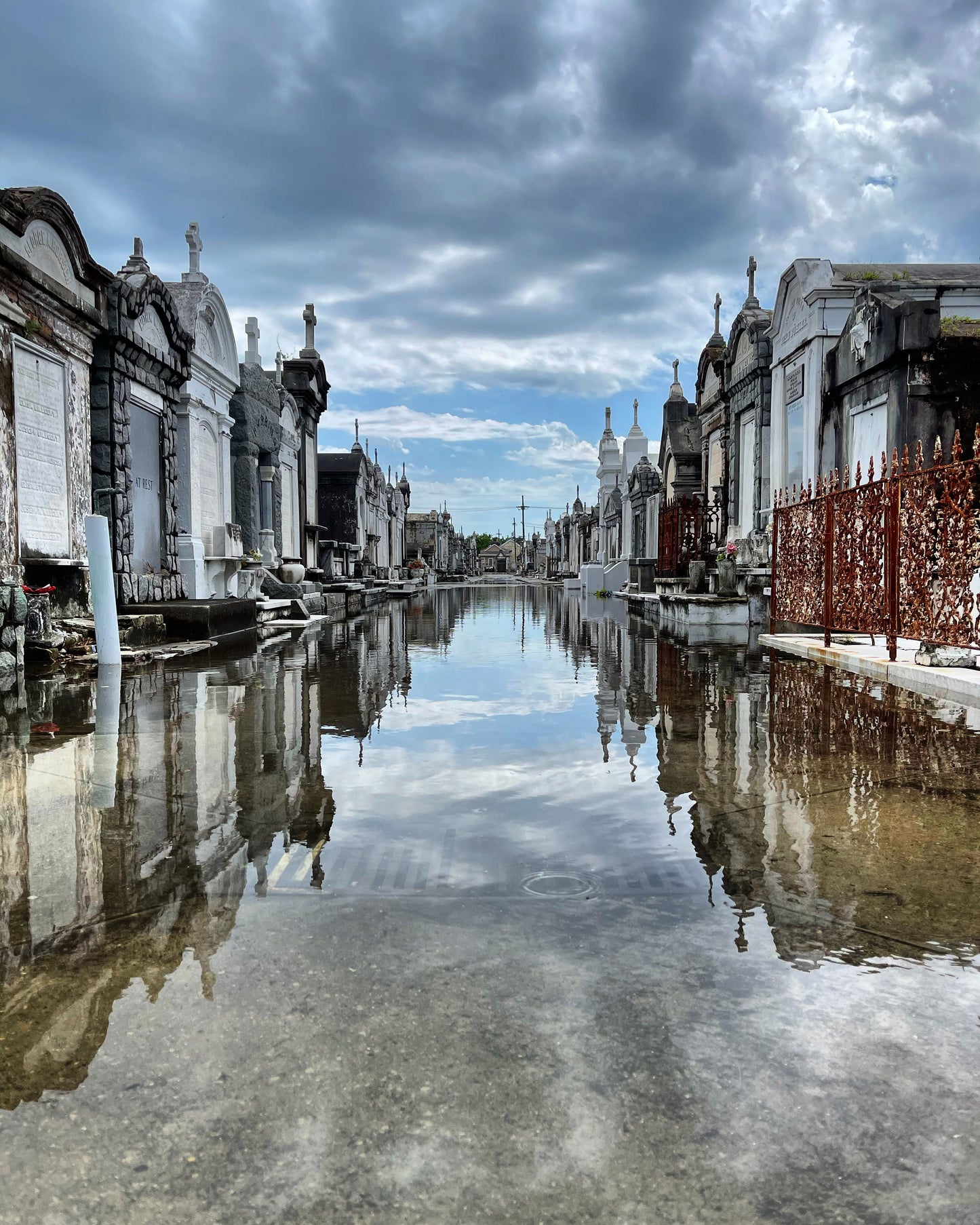 Avenue of Forever