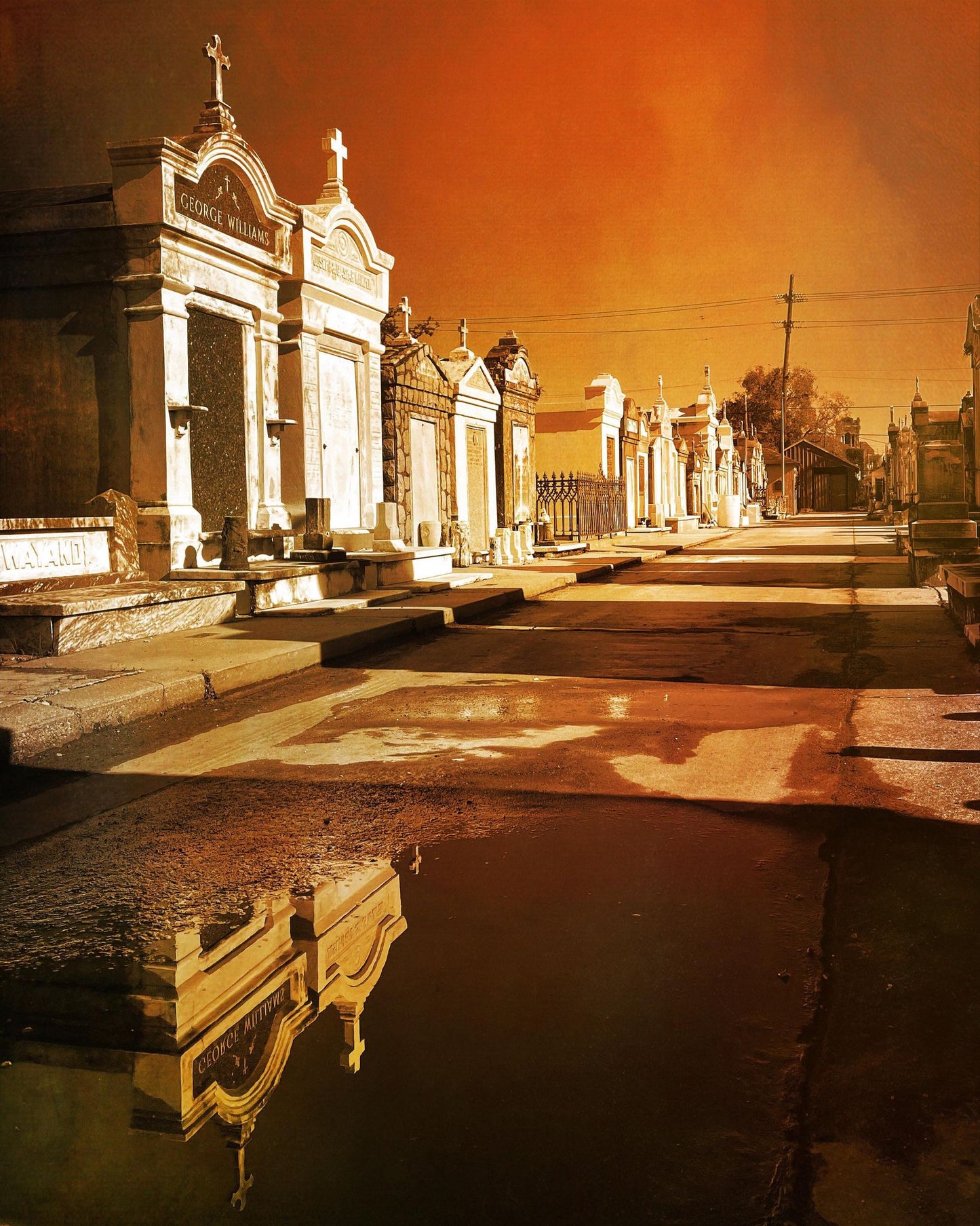 A Shallow Afterlife