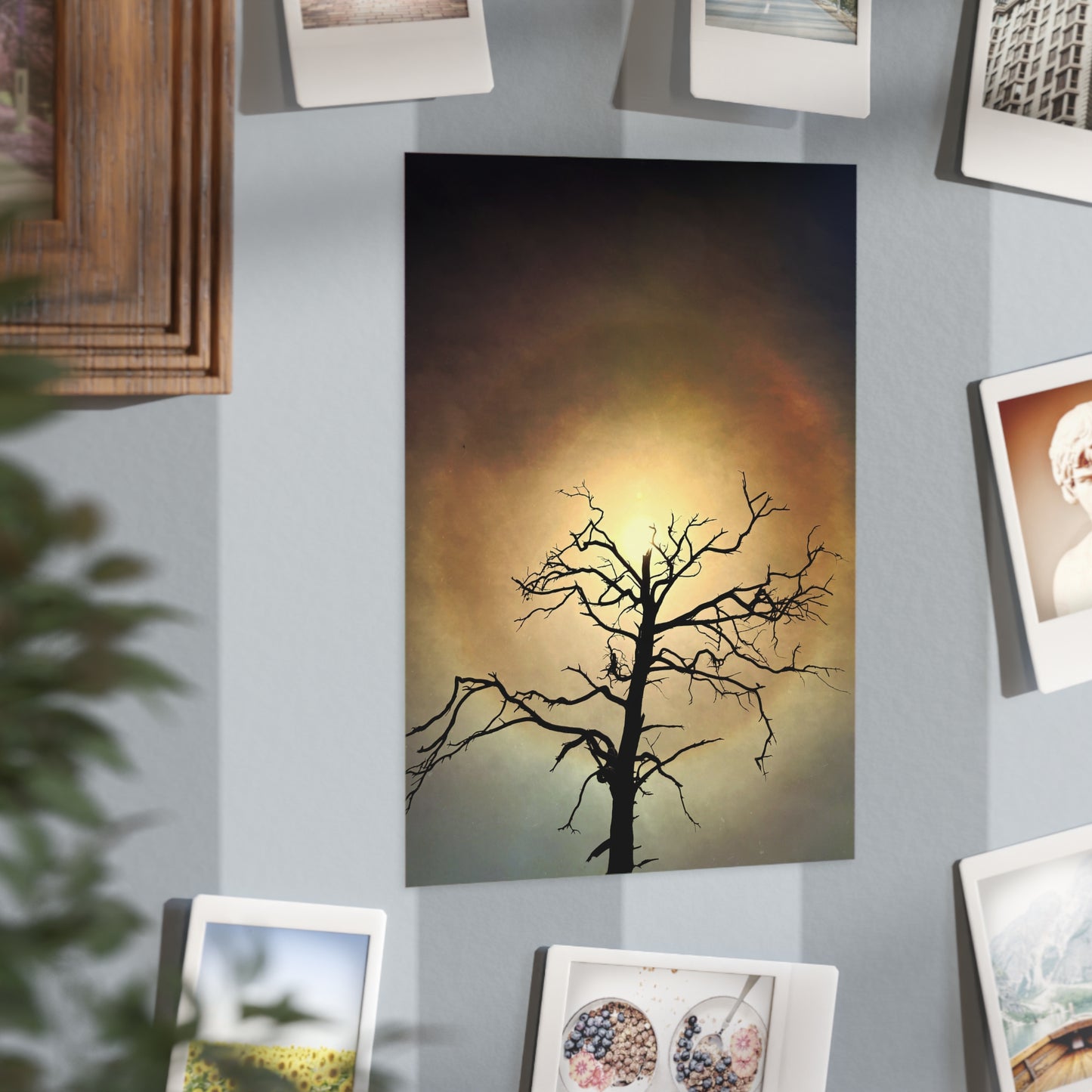 The Eye Opens Paper Print