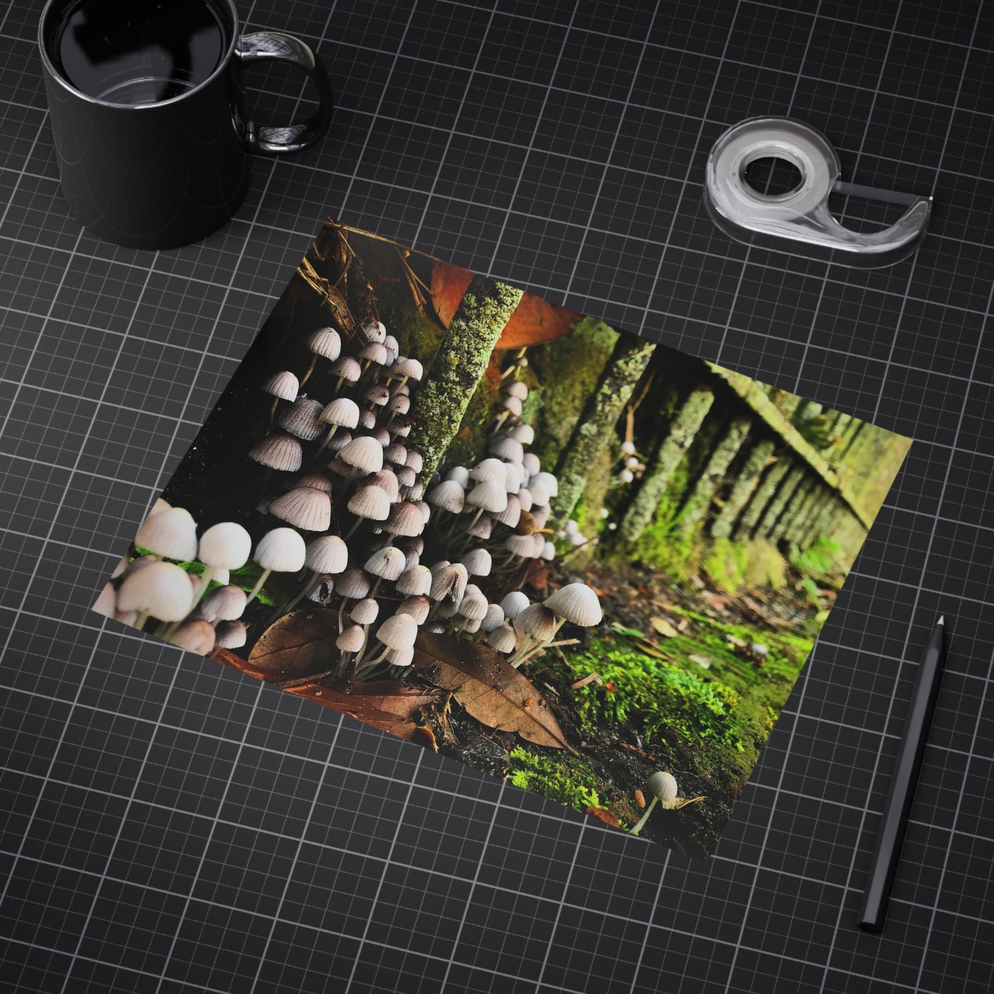 The Kingdom Paper Print