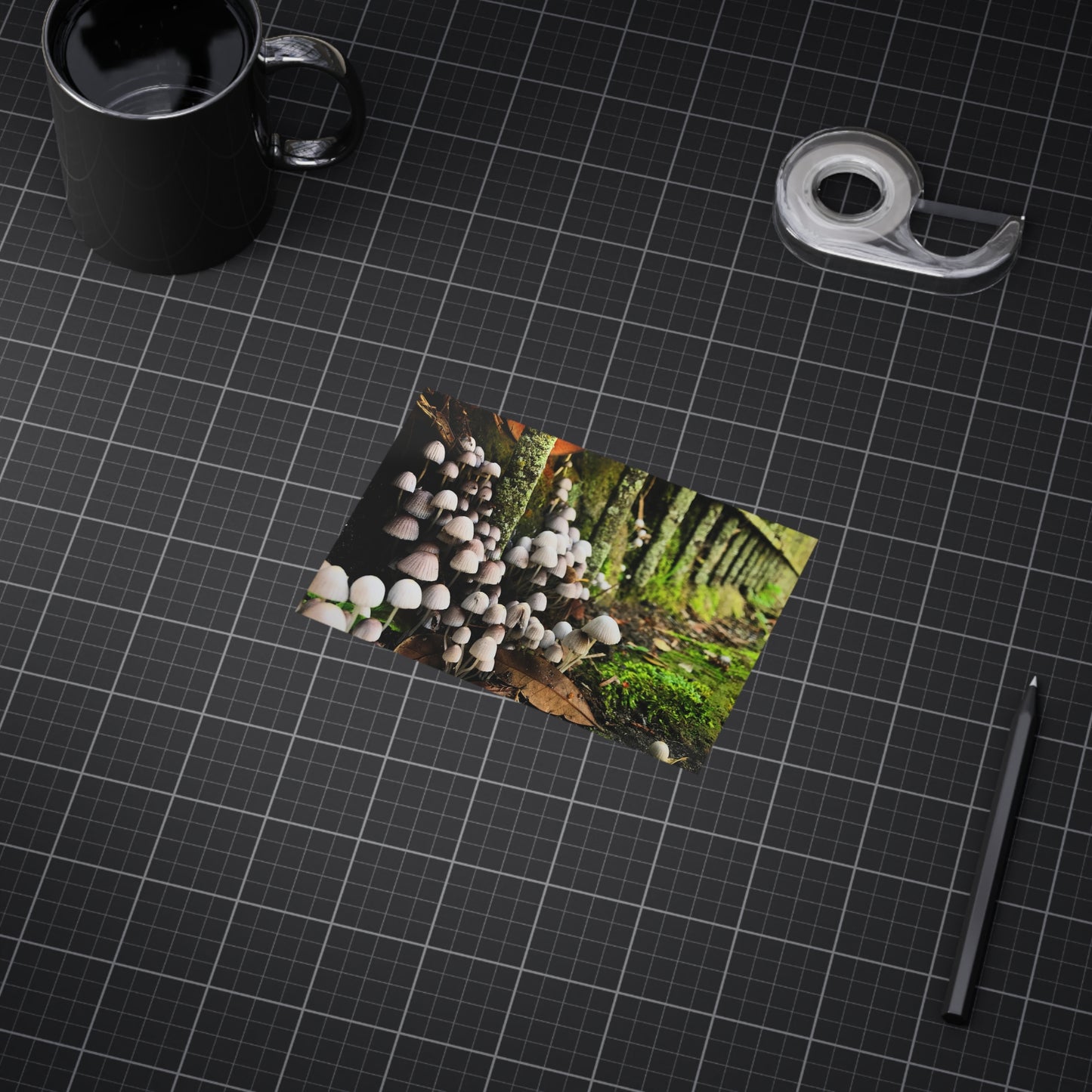 The Kingdom Paper Print