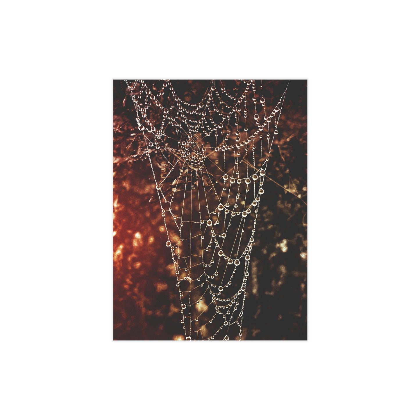 Jewels of Dawn (Version 2) Paper Print