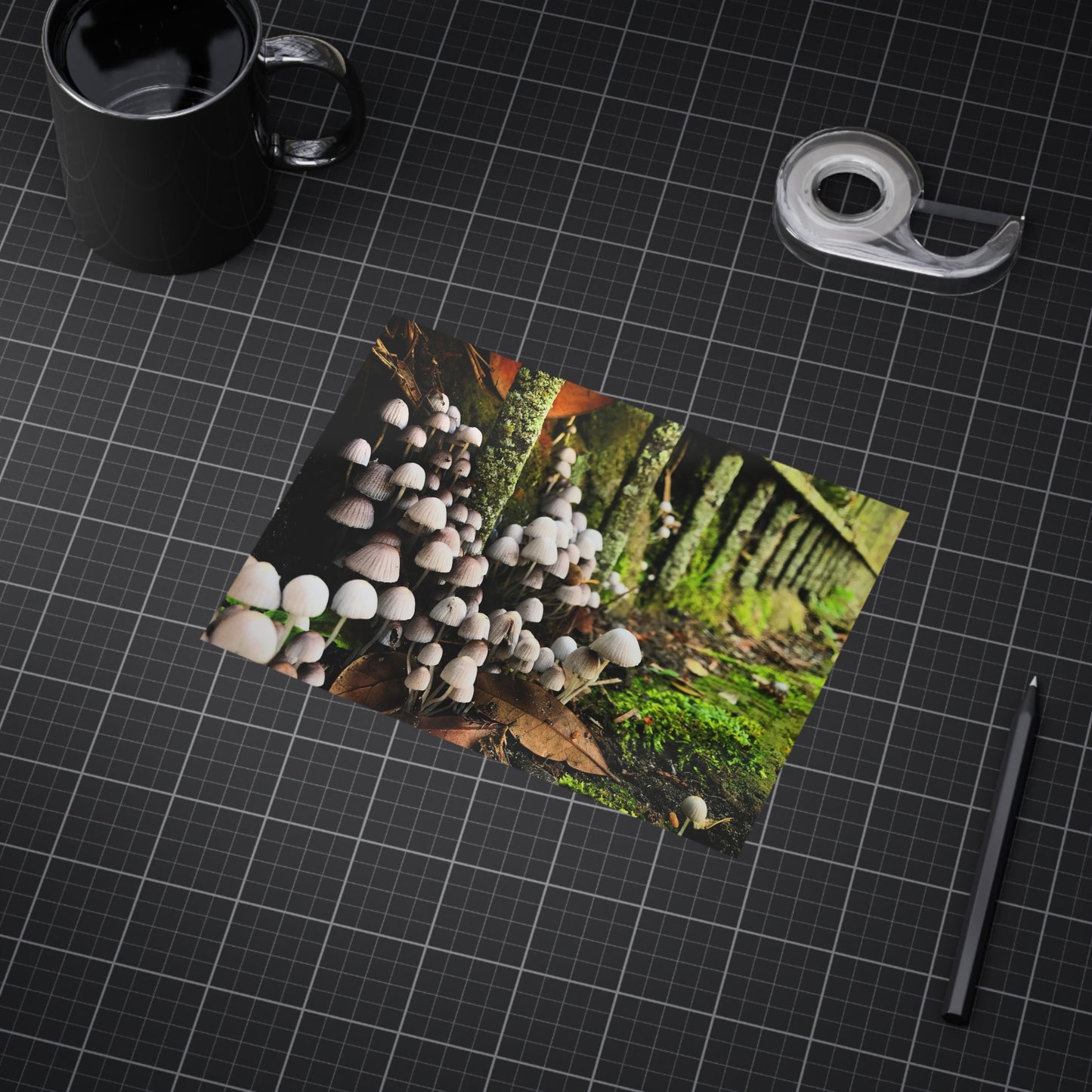 The Kingdom Paper Print