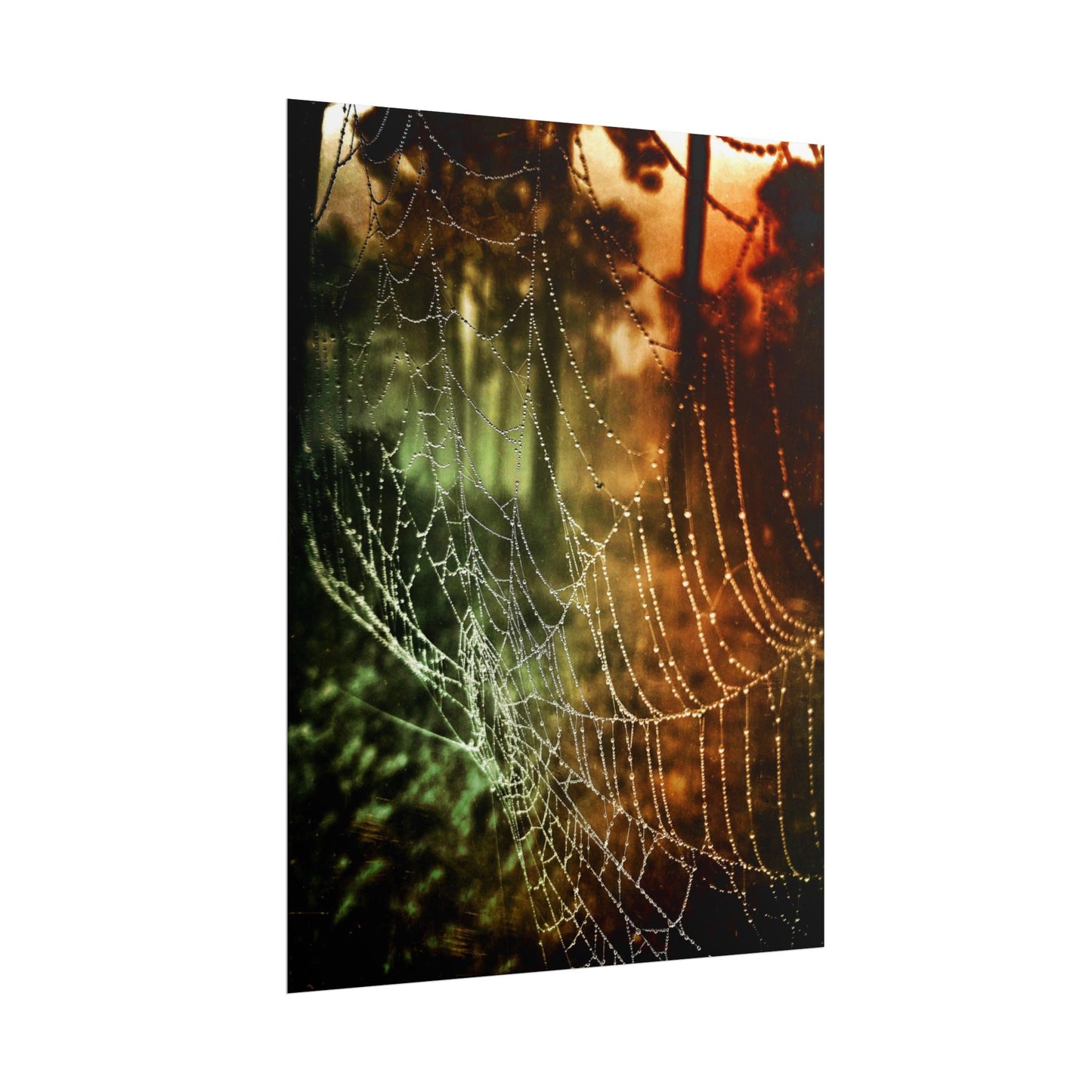 Tears of Dawn (V.2) Rolled Poster