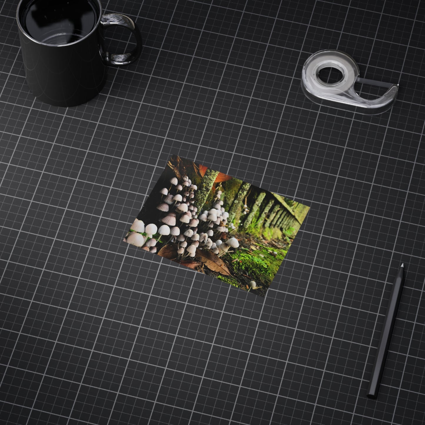The Kingdom Paper Print