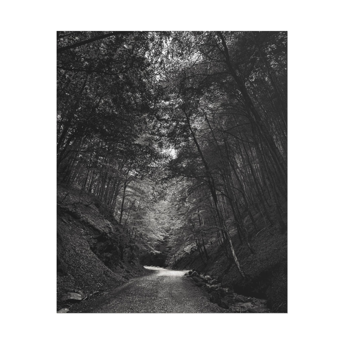 Carpathian Forest Rolled Posters