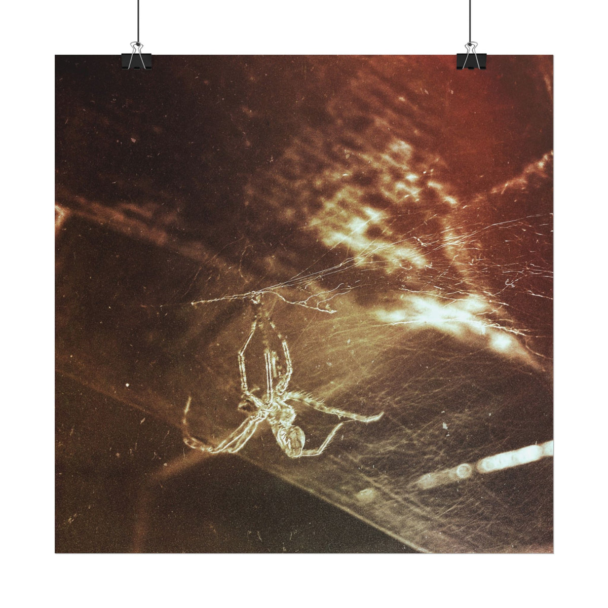 Discarded Nightmare Rolled Posters