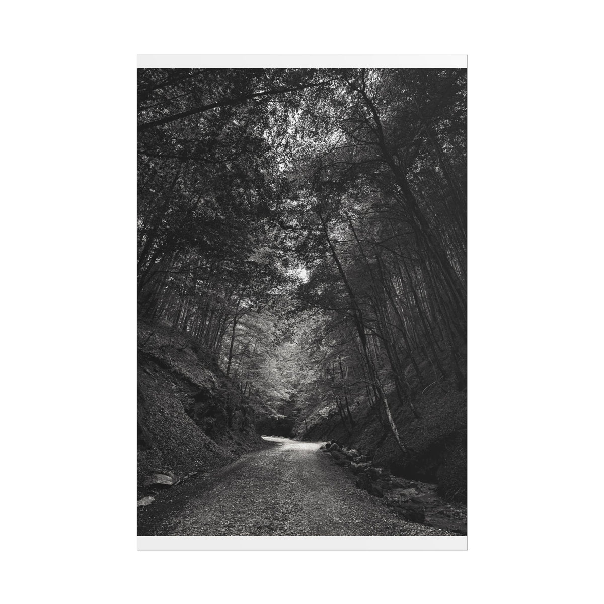 Carpathian Forest Rolled Posters