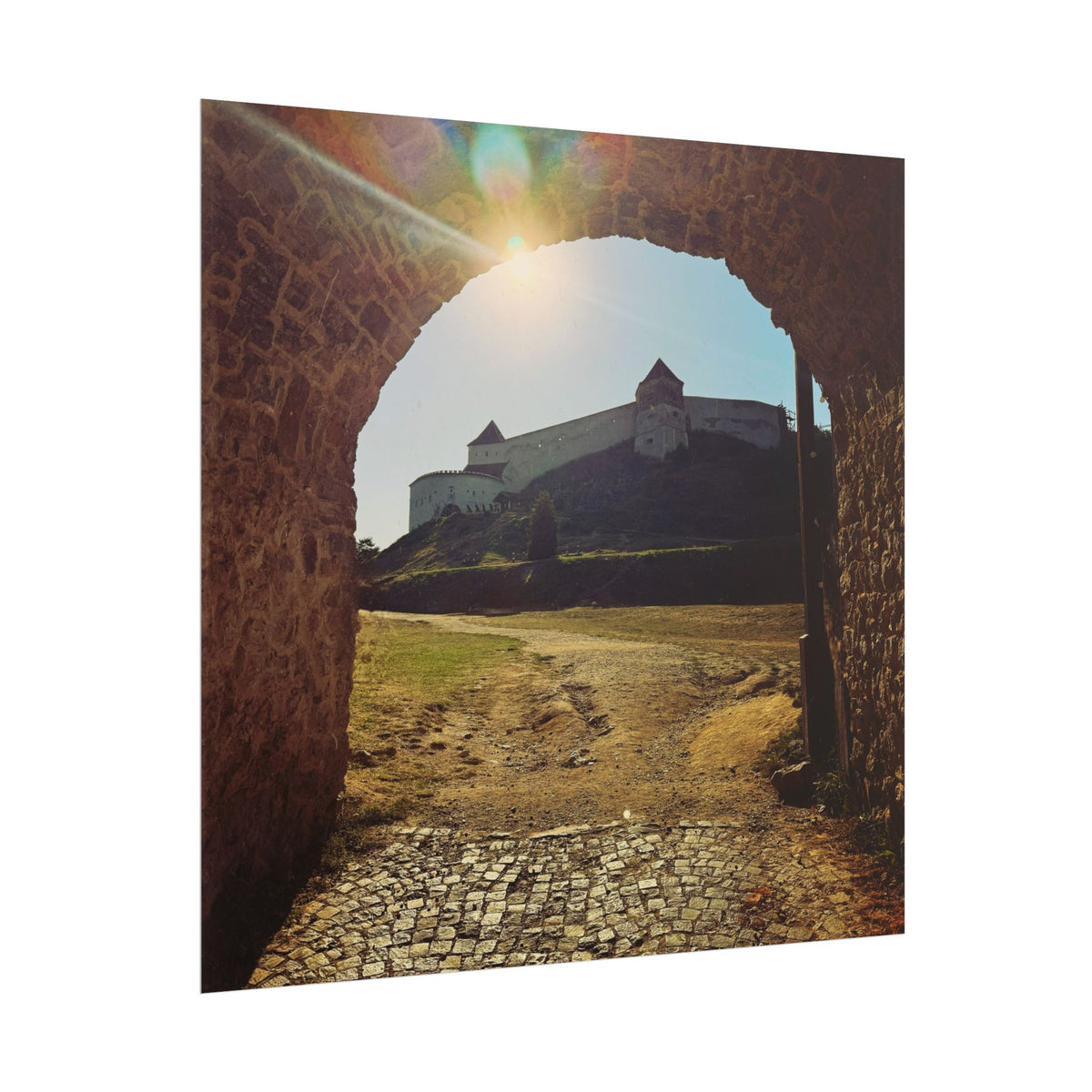Rasnov Fortress Rolled Posters