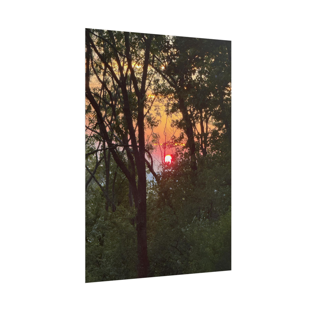 Carpathian Sunset Rolled Posters
