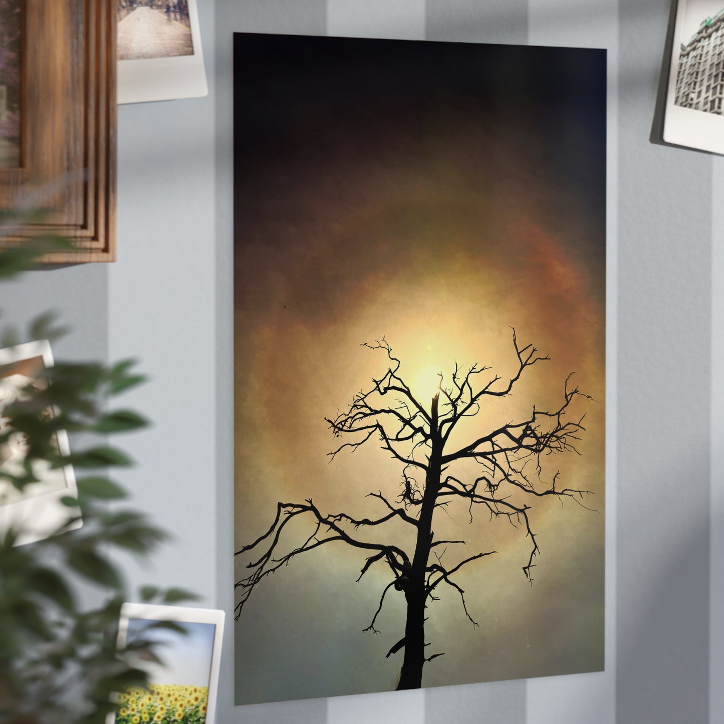 The Eye Opens Paper Print