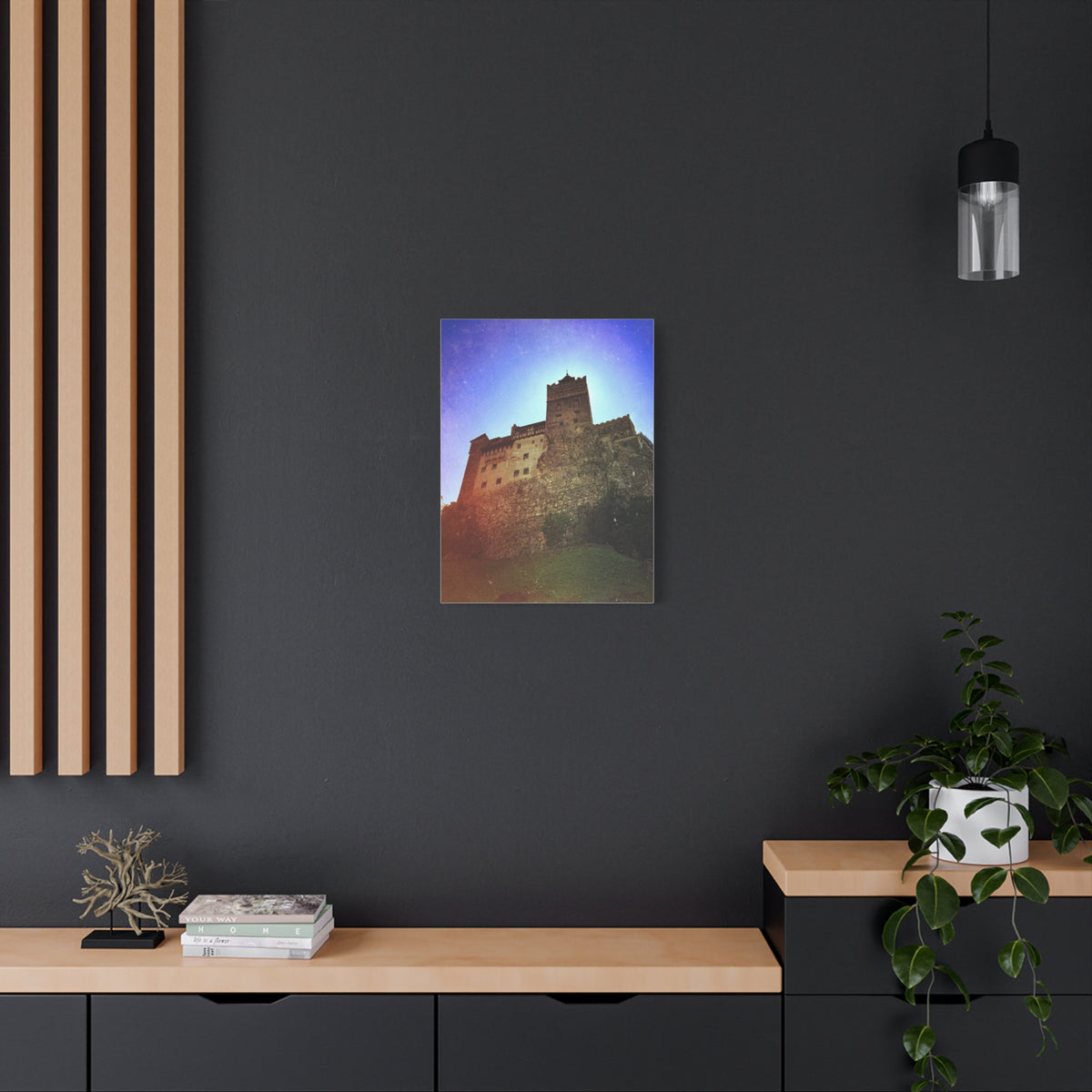 Castle Dracula Matte Canvas, Stretched, 1.25"