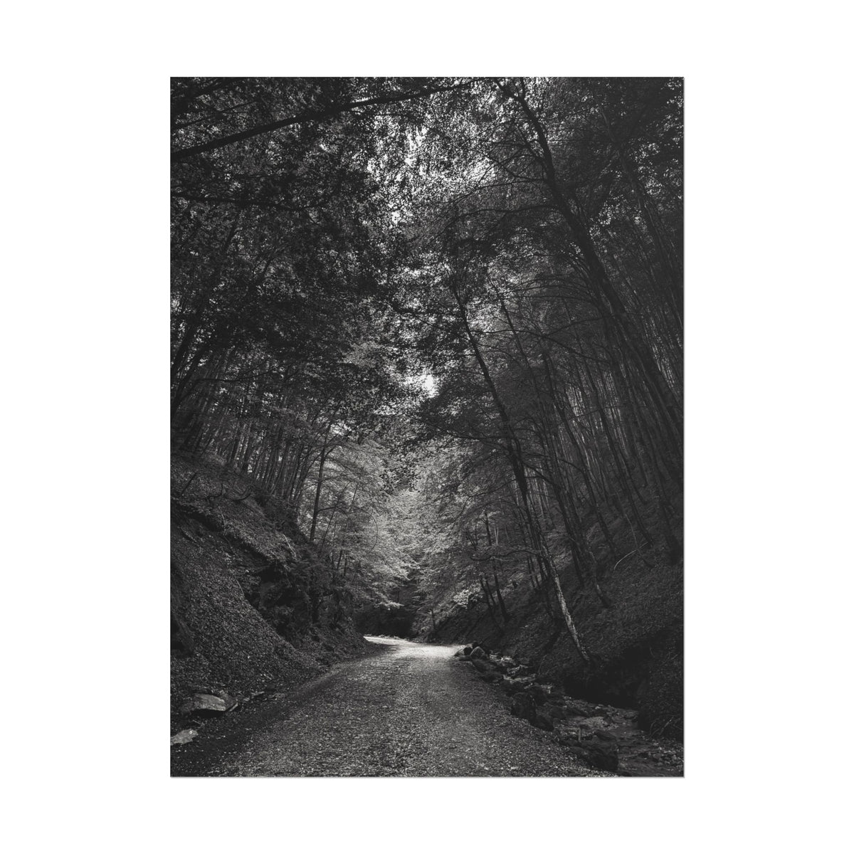 Carpathian Forest Rolled Posters