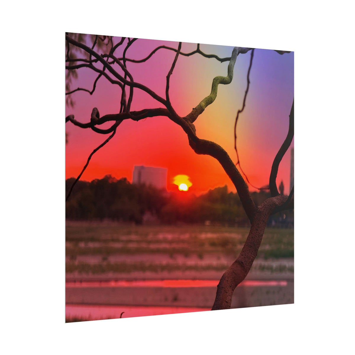 Romanian Sunset Rolled Posters