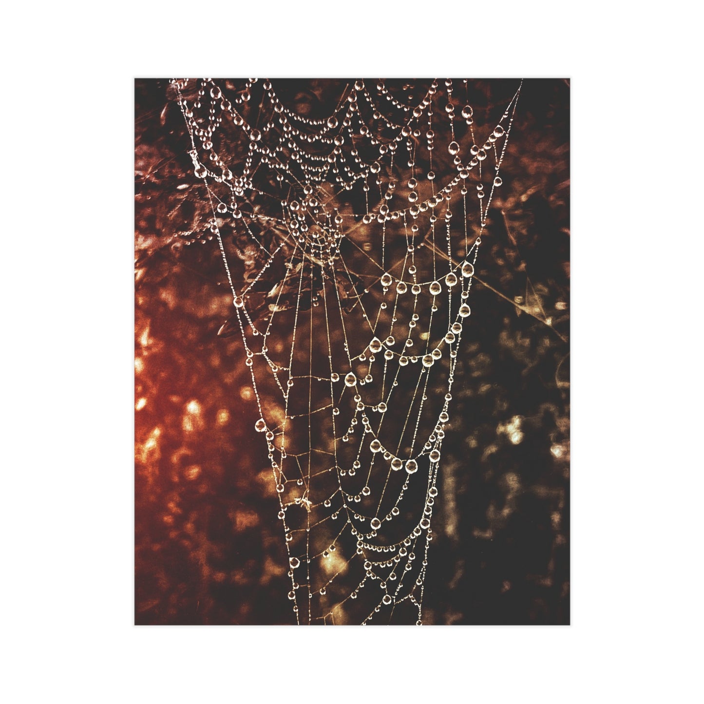 Jewels of Dawn (Version 2) Paper Print