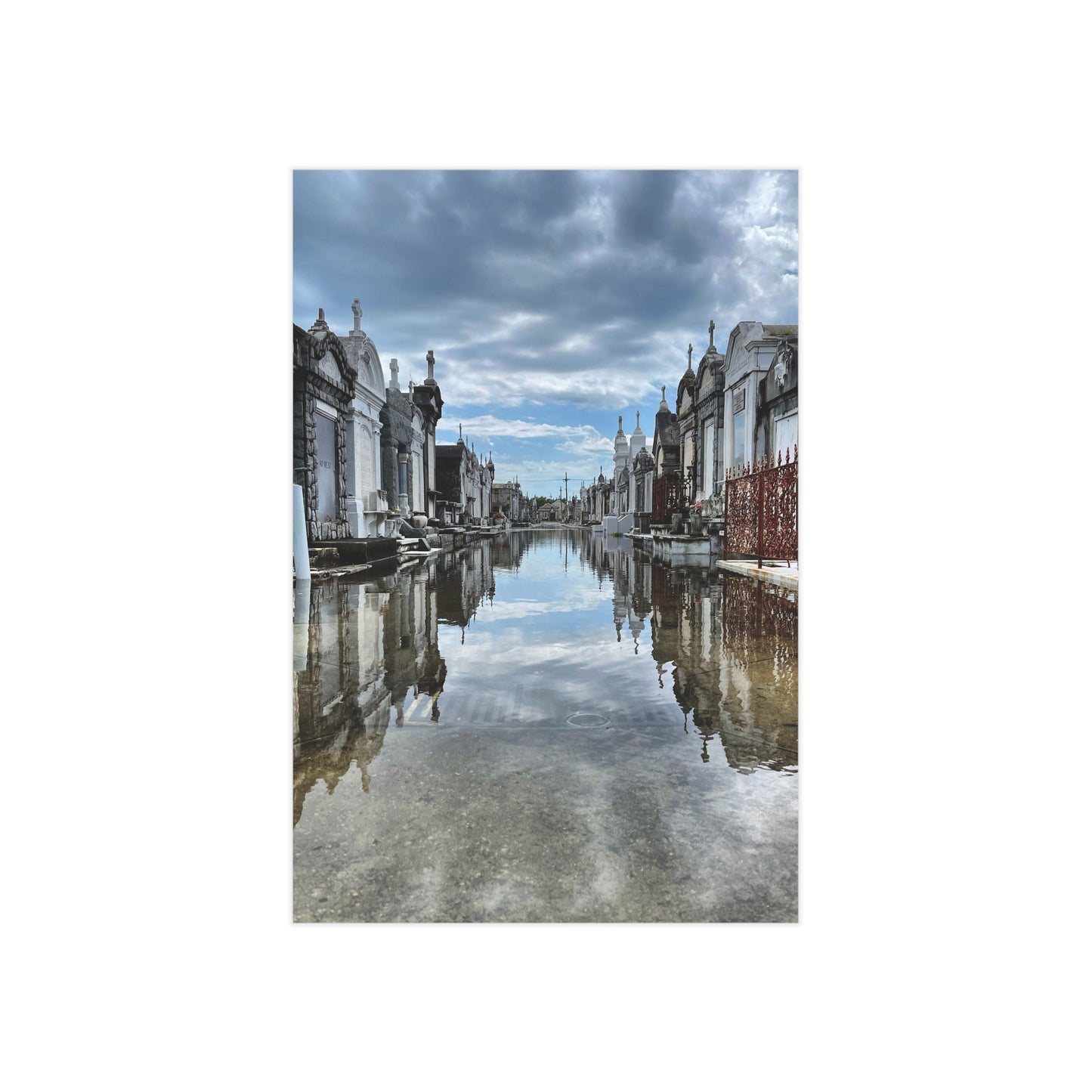 Avenue of Forever Paper Print