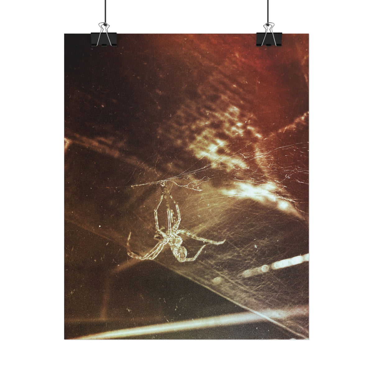Discarded Nightmare Rolled Posters