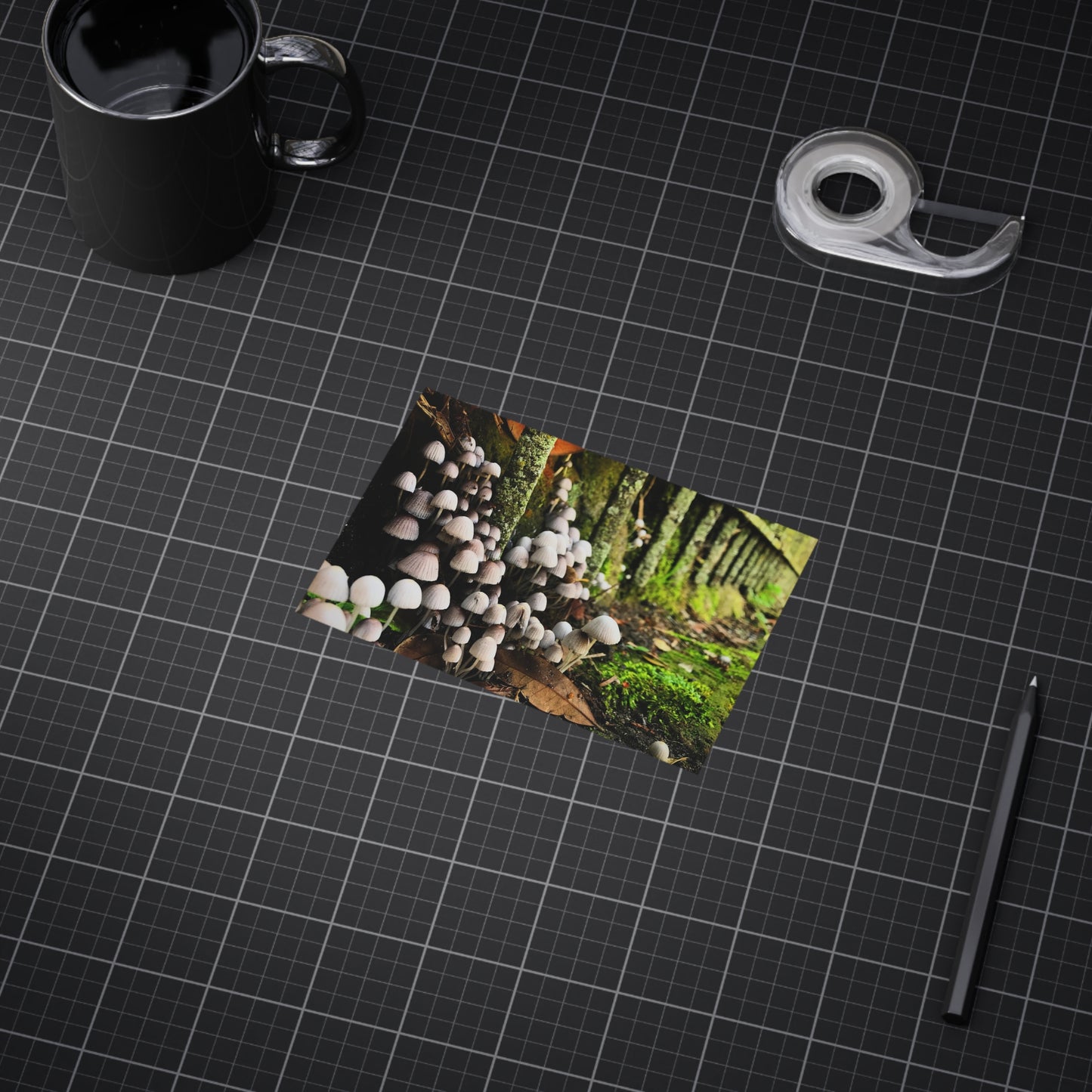 The Kingdom Paper Print
