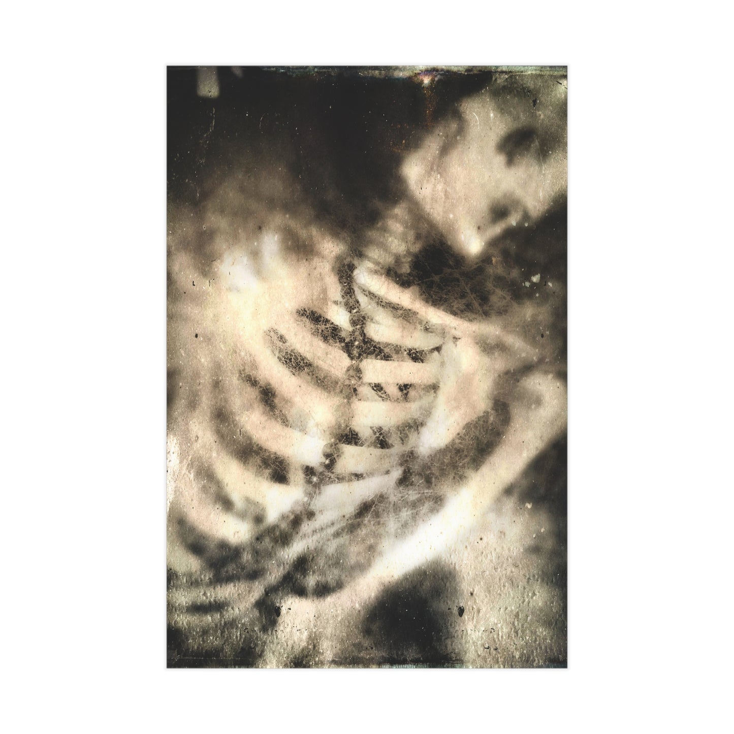 Bone To Pick Paper Print