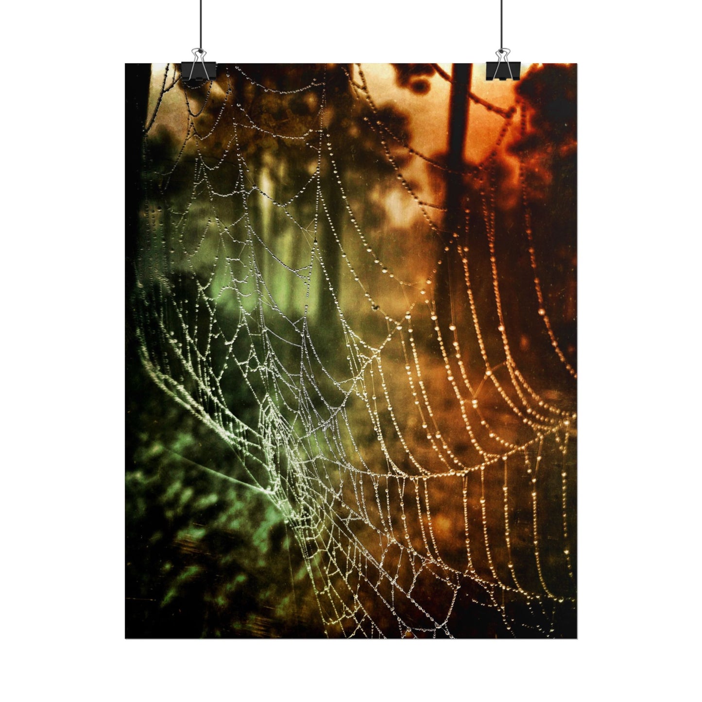Tears of Dawn (V.2) Rolled Poster
