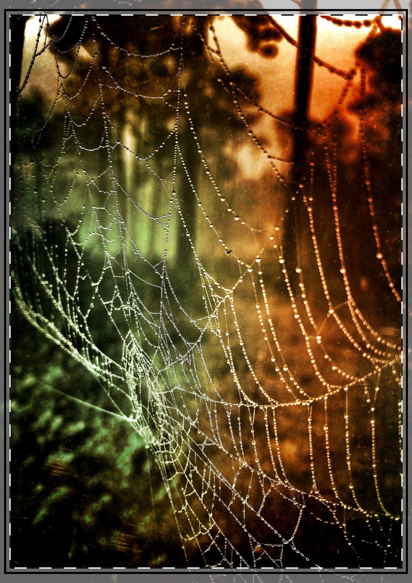 Tears of Dawn (V.2) Flat Greeting Cards (envelopes included)