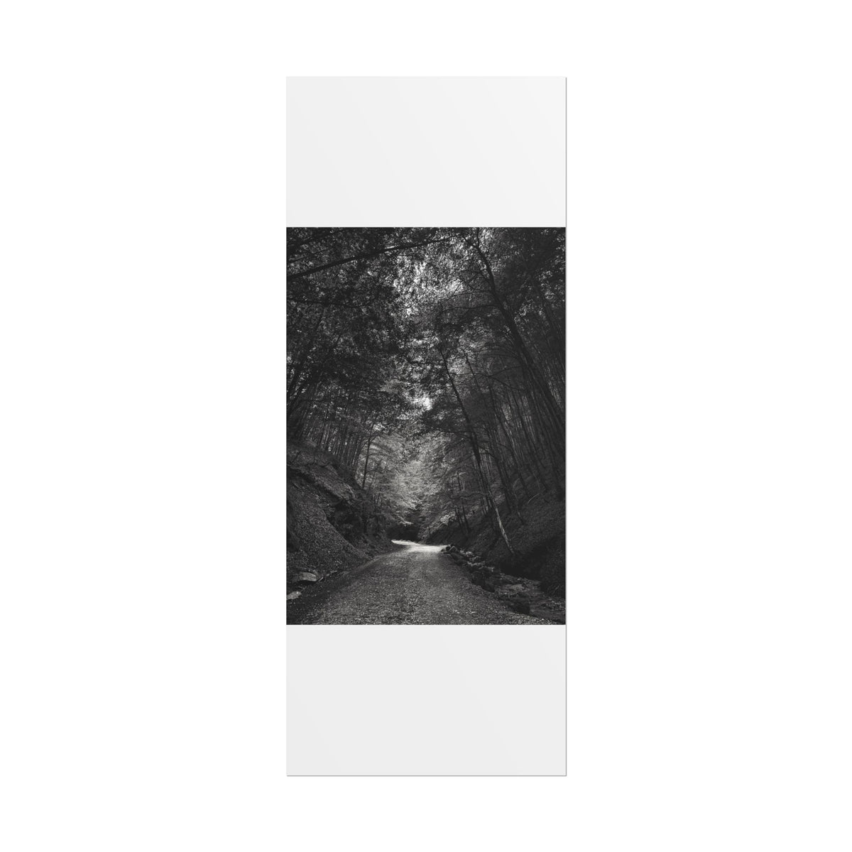 Carpathian Forest Rolled Posters