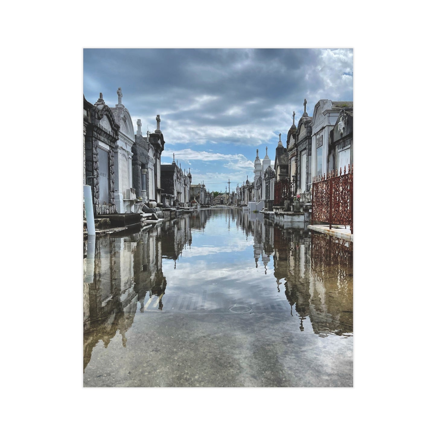 Avenue of Forever Paper Print
