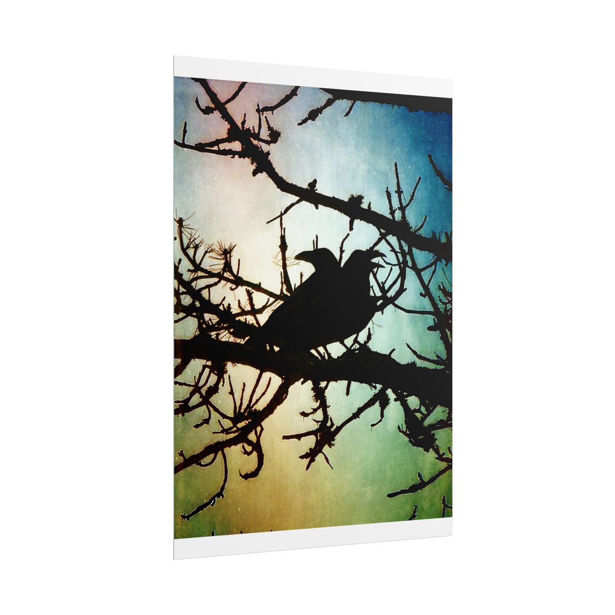 Rolled Posters