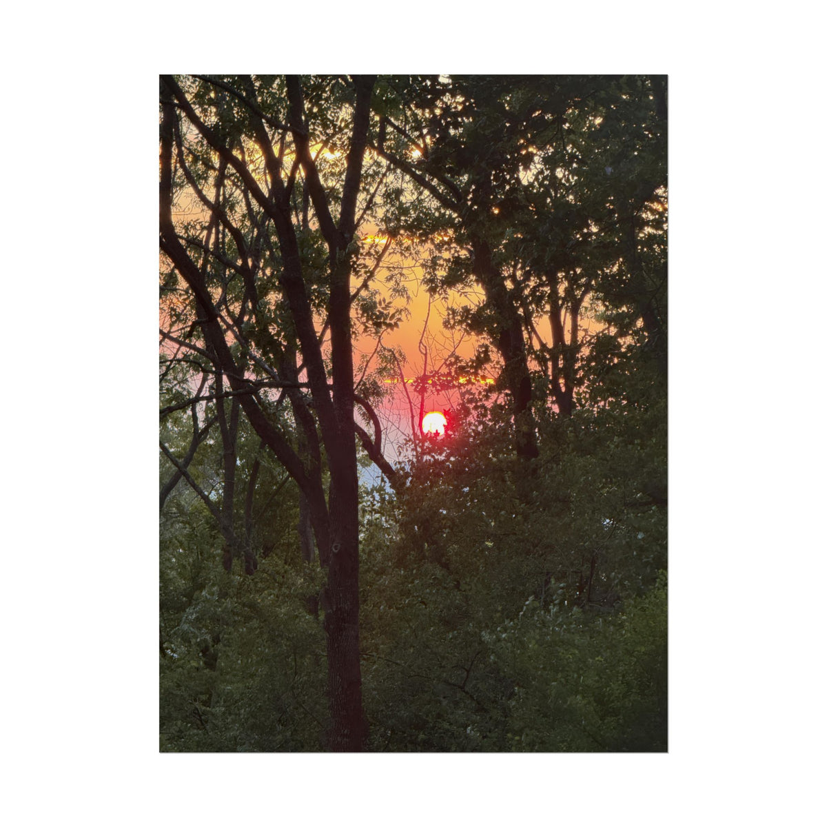 Carpathian Sunset Rolled Posters