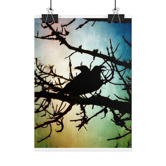 Rolled Posters
