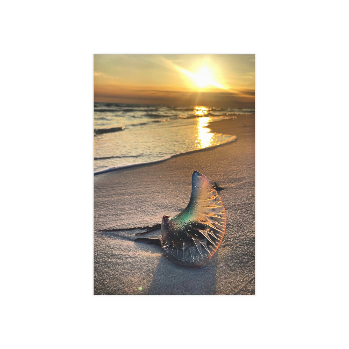 The Day The Moon Washed Ashore Paper Print