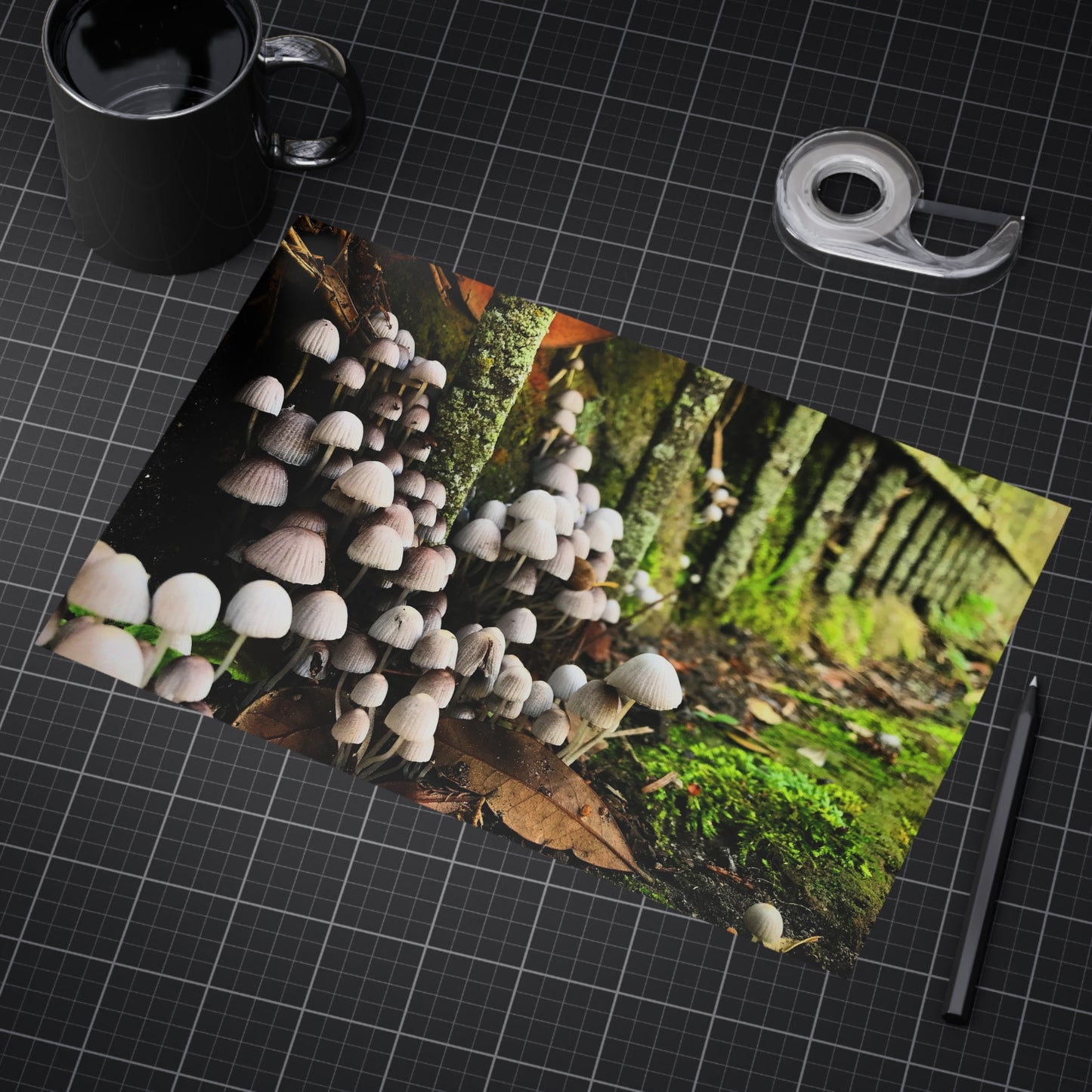 The Kingdom Paper Print