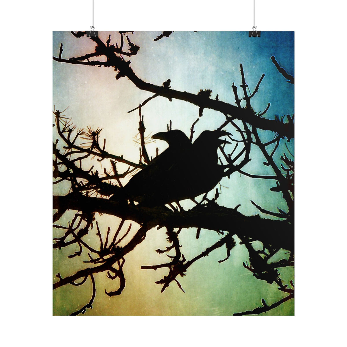 Rolled Posters