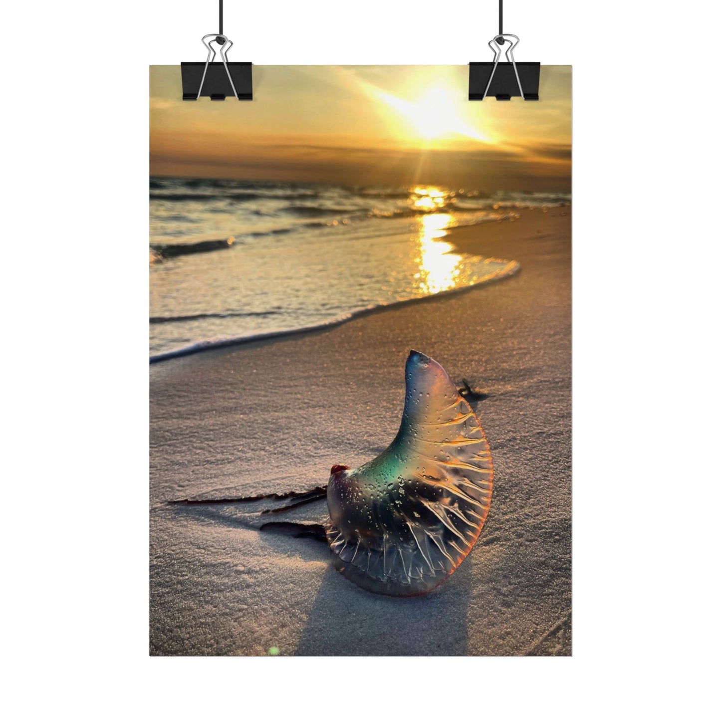 The Day The Moon Washed Ashore Rolled Poster