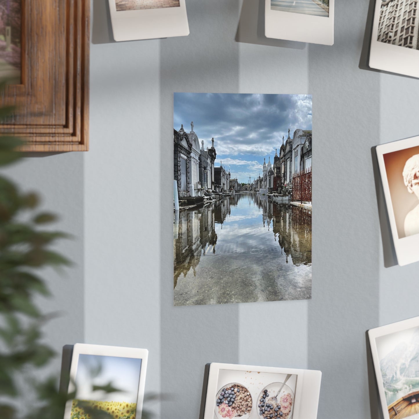 Avenue of Forever Paper Print