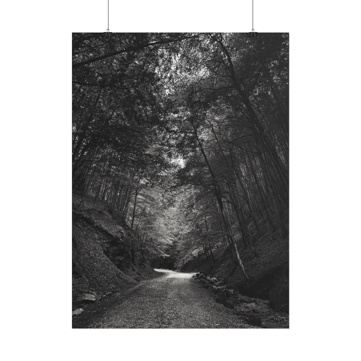 Carpathian Forest Rolled Posters