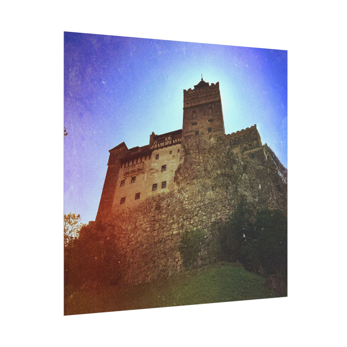 Castle Dracula Rolled Posters