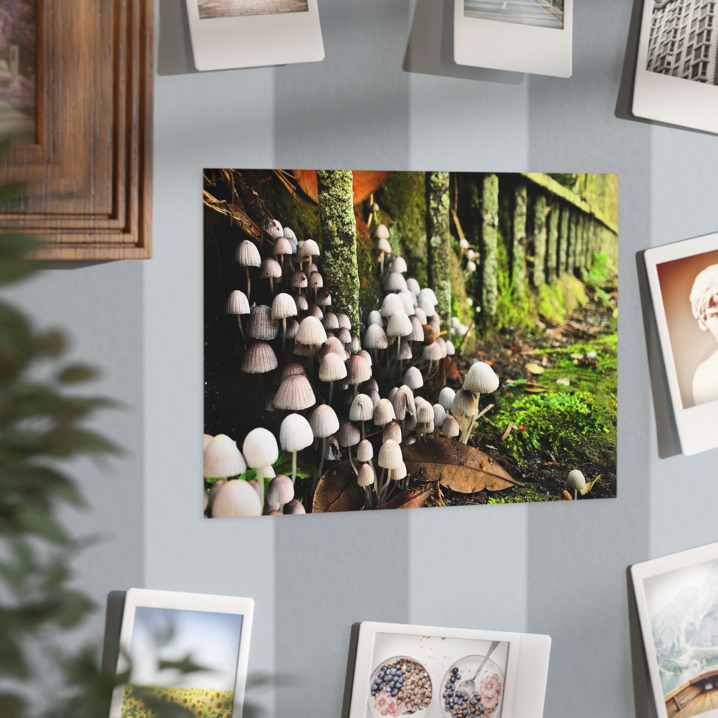 The Kingdom Paper Print