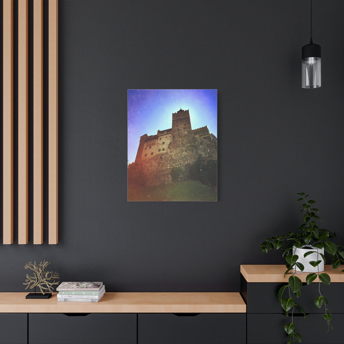 Castle Dracula Matte Canvas, Stretched, 1.25"