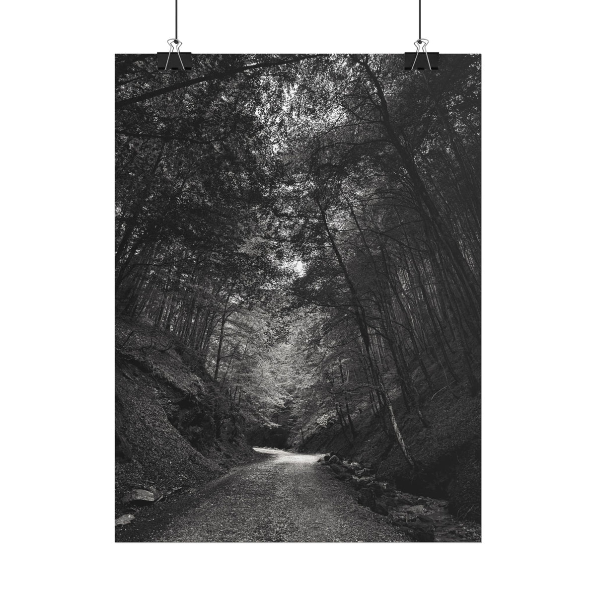 Carpathian Forest Rolled Posters