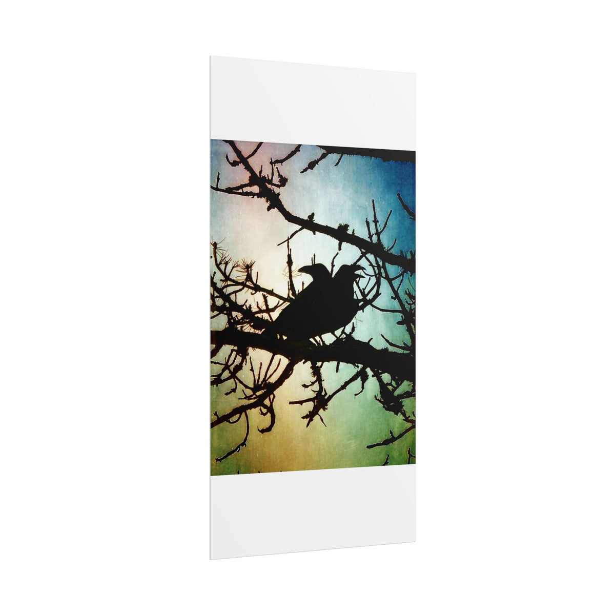Rolled Posters