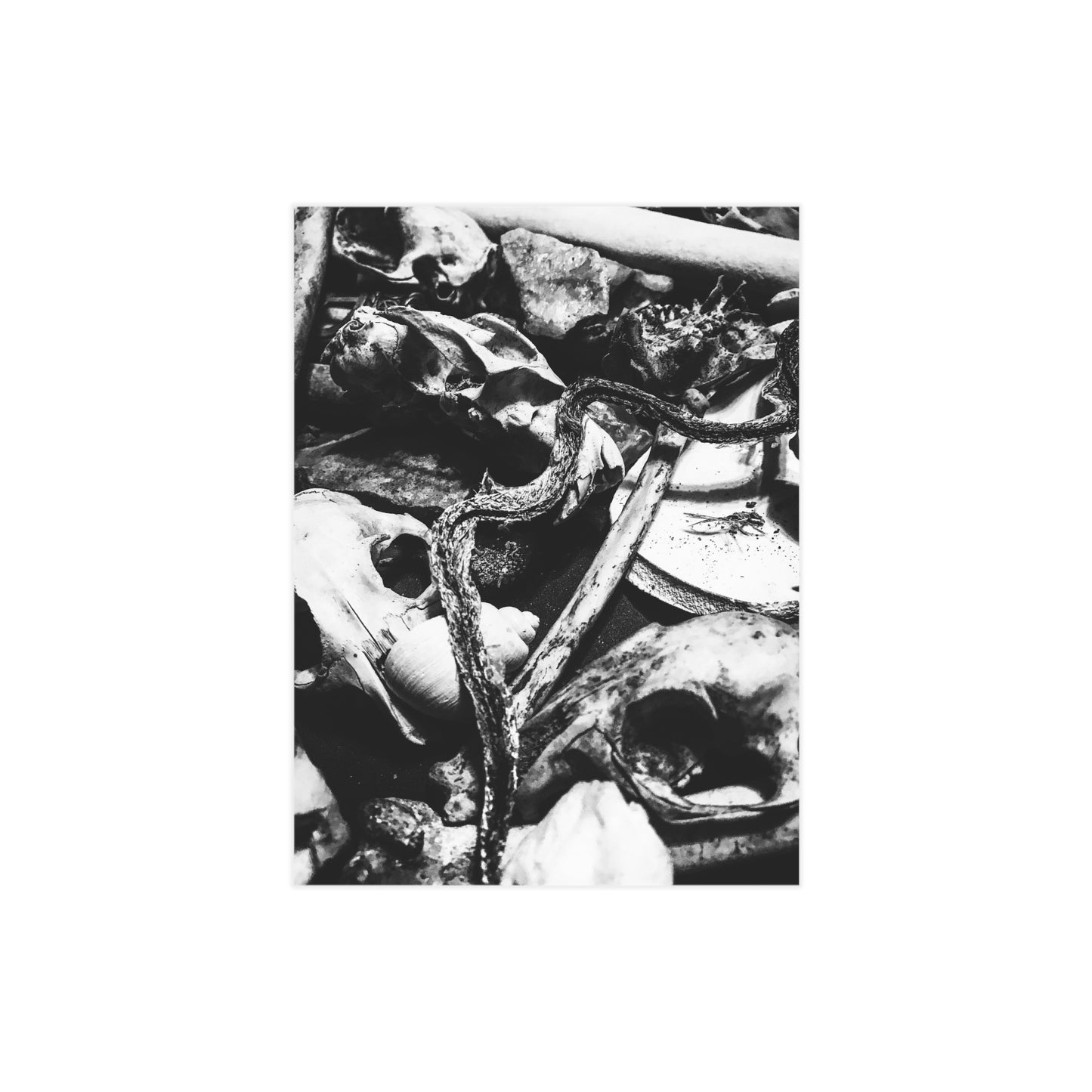 Them Bones Paper Print