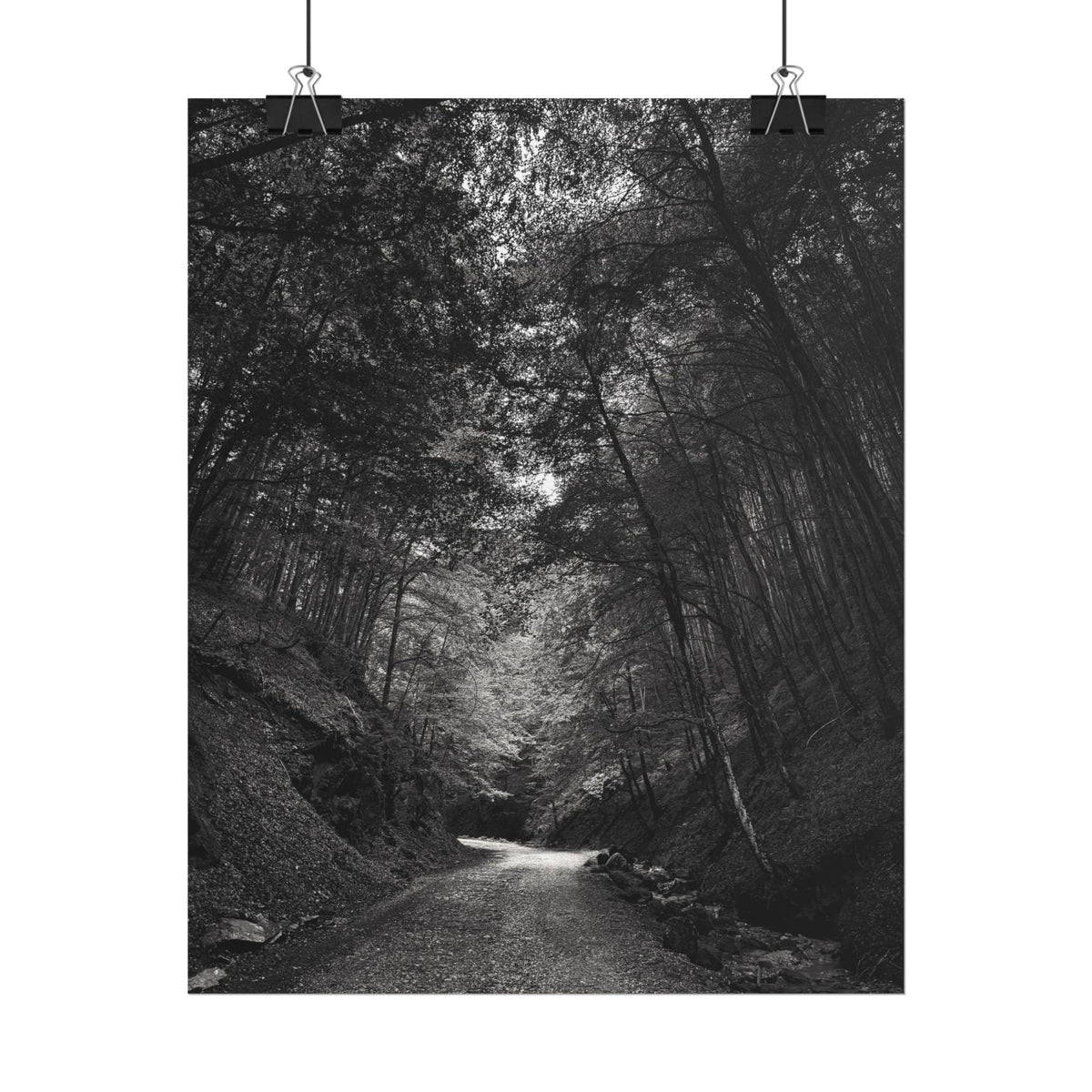 Carpathian Forest Rolled Posters
