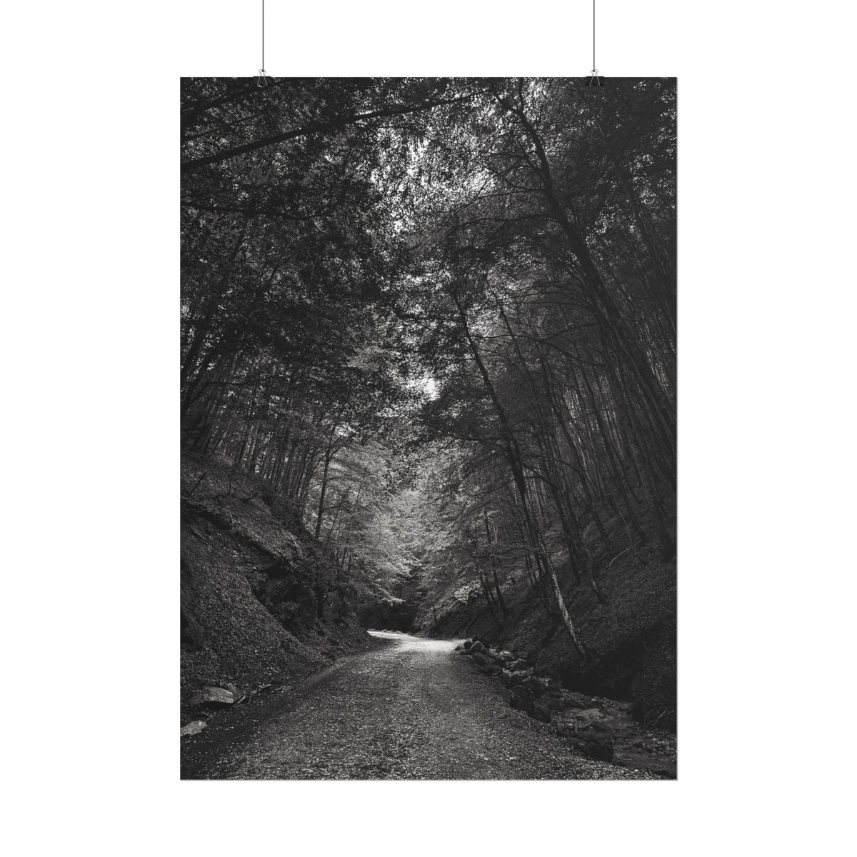 Carpathian Forest Rolled Posters