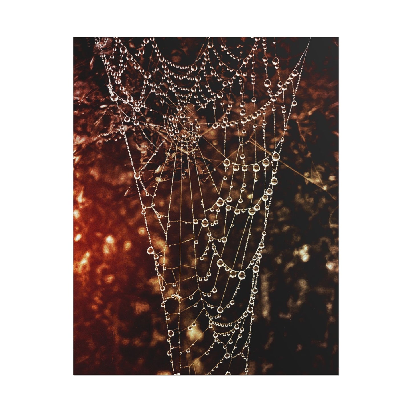 Jewels of Dawn V.2 Rolled Poster